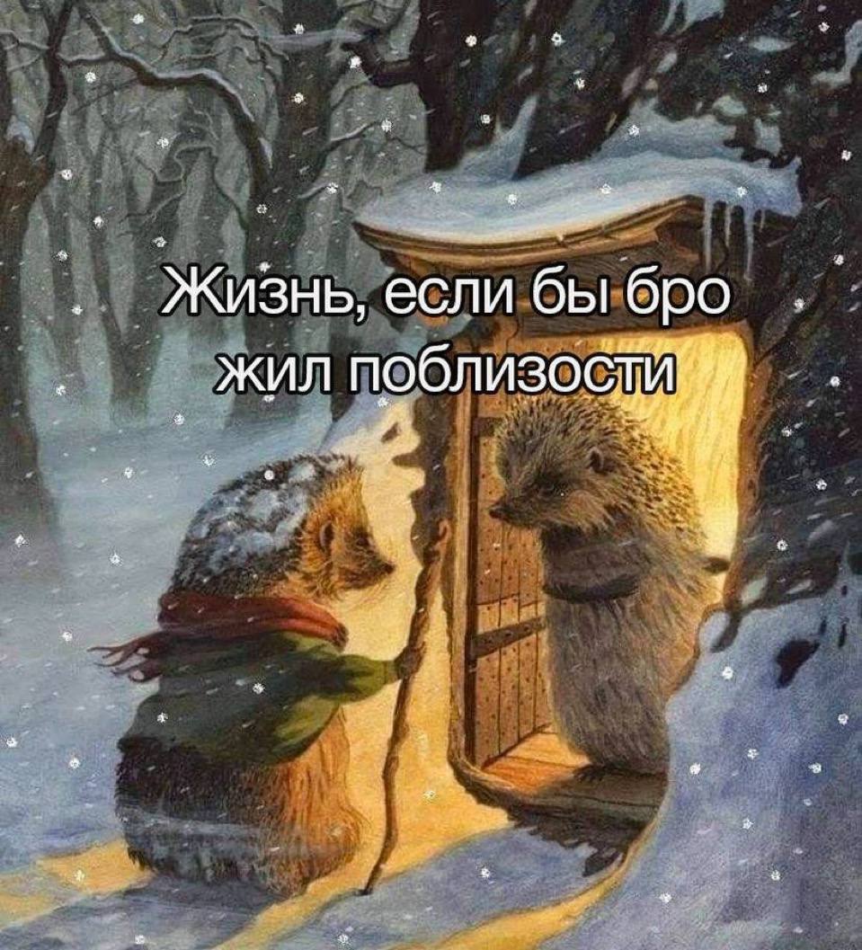 Жизнь, если бы бро жил поблизостийй