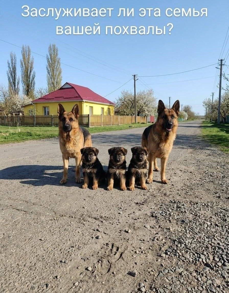 МЬЯ Заслуживает ли эта 9 вашей похвалы? i tes 55 a 4 5: С 4 Я 4 НИ A A 2$ 4 ove we 3 и 2} we a a 3