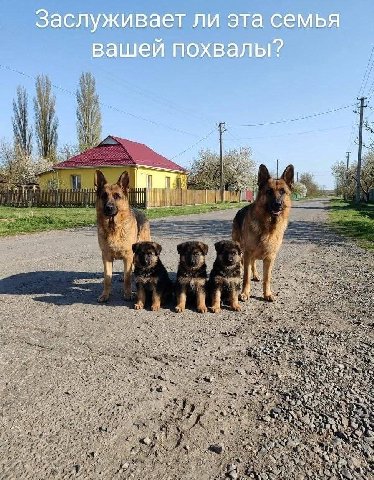 МЬЯ Заслуживает ли эта 9 вашей похвалы? i tes 55 a 4 5: С 4 Я 4 НИ A A 2$ 4 ove we 3 и 2} we a a 3