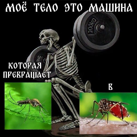 ТЕЛО ЭТО МАШИНА КОТОРАЯ