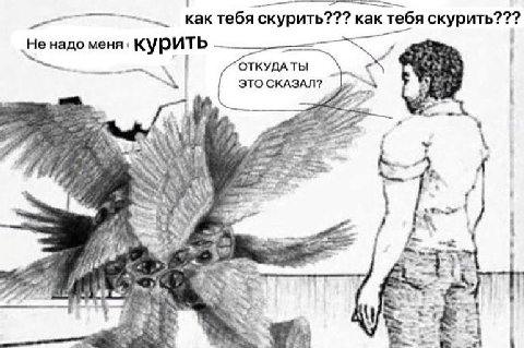 мем по мотивам последних пяти минут