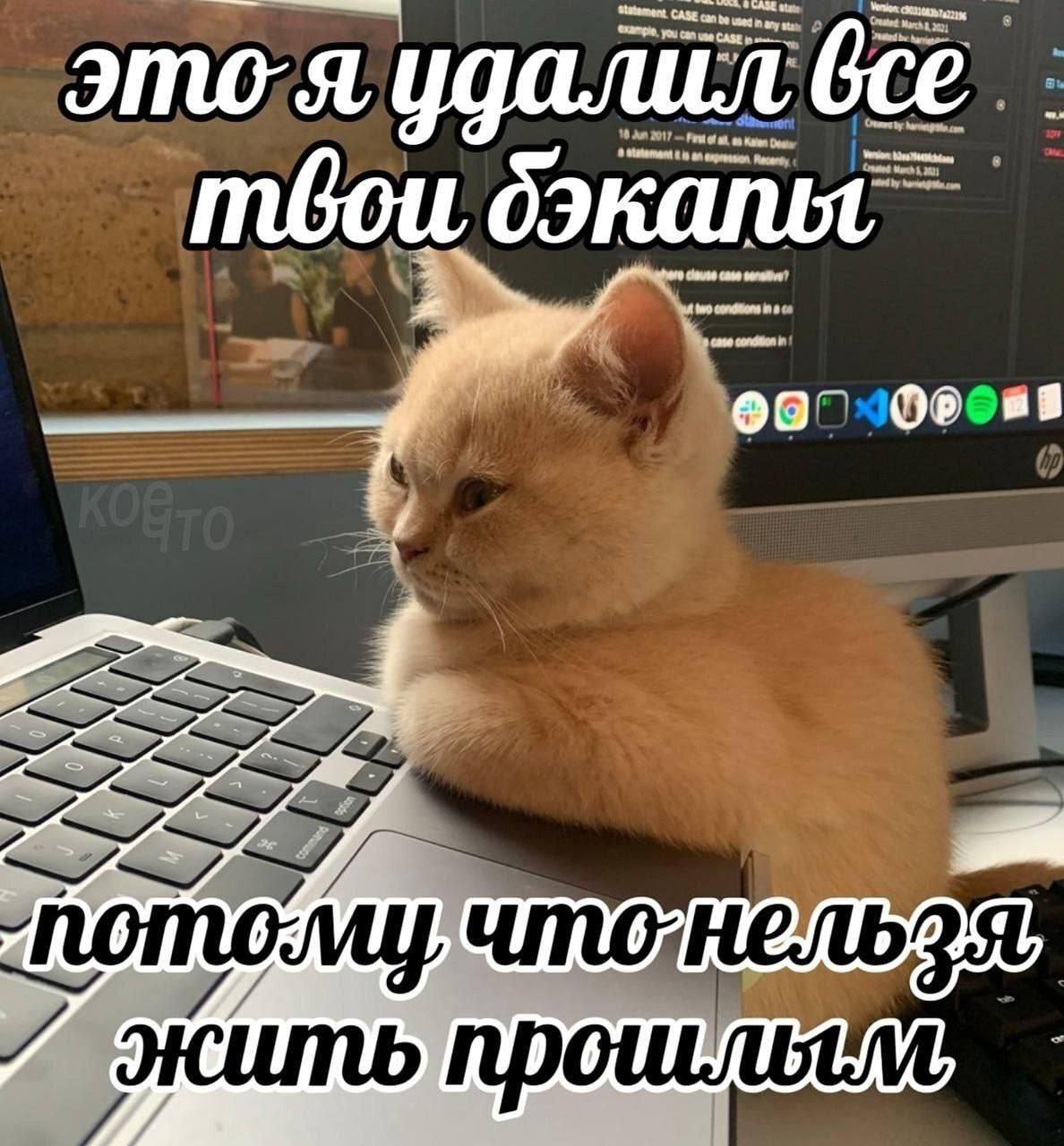 удалил все тёбои бэкалы