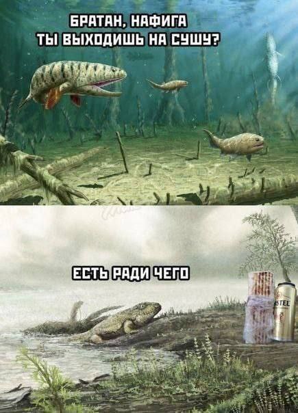 #клск