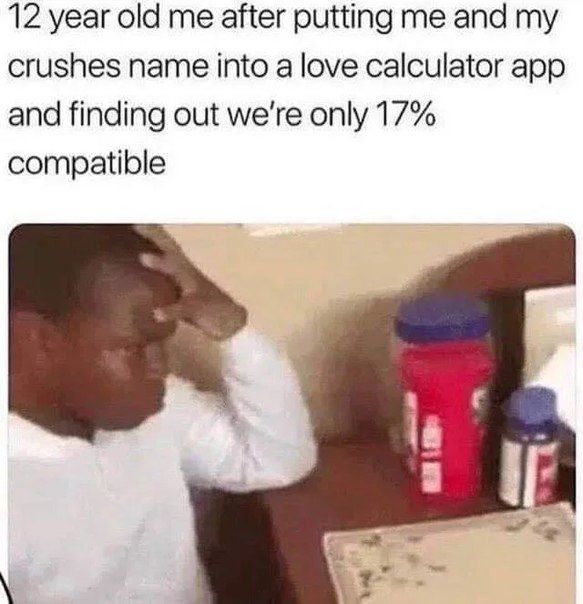 12 year old me after putting me and my crushes name into a love calculator app and finding out we're only 17% compatible