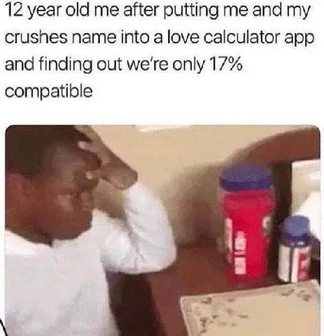12 year old me after putting me and my crushes name into a love calculator app and finding out we're only 17% compatible