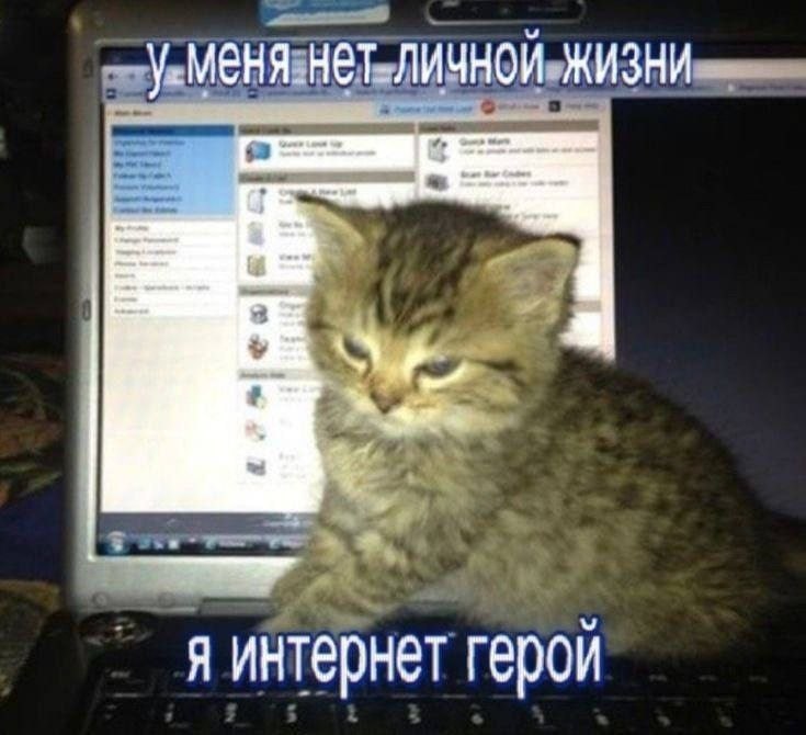 у.Меня нет. личной жизни в я интернет герой