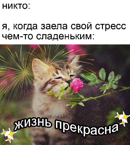 НИКТО: я, когда заела свой стресс чем-то сладеньким: 777 7 Прекрасна