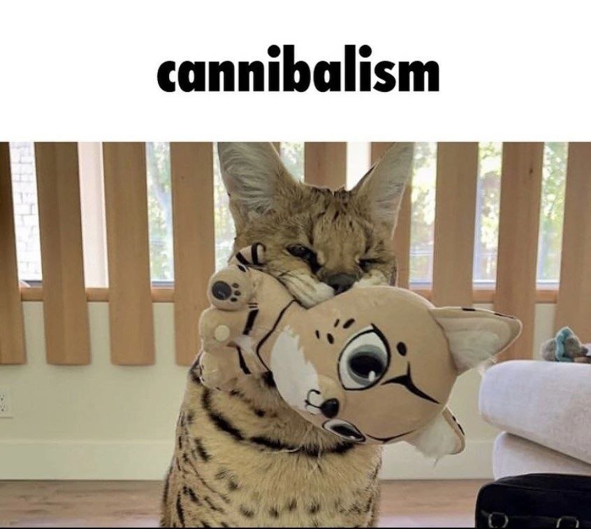 cannibalism 7
