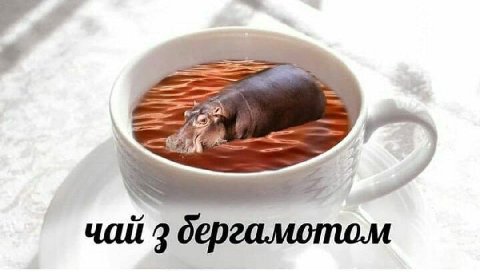 A чай 3 дергамотом