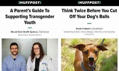 A Parent’s Guide To Think Twice Before You Cut Supporting Transgender Off Your Dog's Balls Youth Sarah Hodgson, Contributor Mount Health System, Contributor Best Я 1