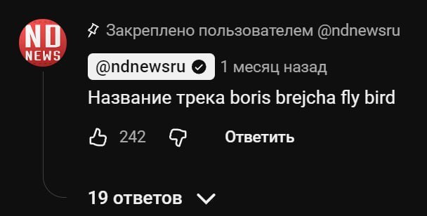 Я Закреплено пользователем NEWS 1 месяц назад Название трека boris brejcha fly bird Ответить 242 19 ответов