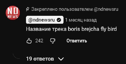 Я Закреплено пользователем NEWS 1 месяц назад Название трека boris brejcha fly bird Ответить 242 19 ответов
