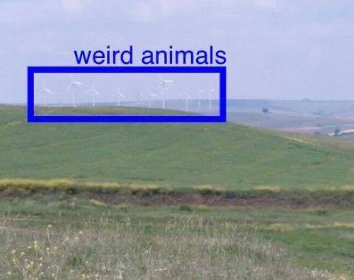 weird animals Я