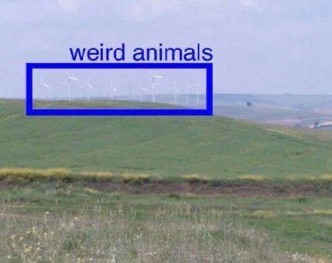 weird animals Я