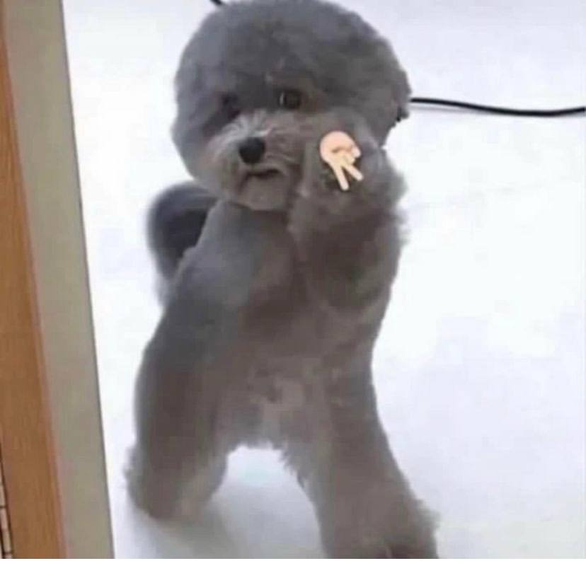 im