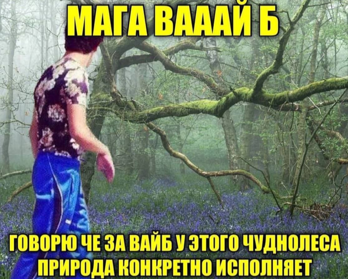МАГА ВААЛИ ГОВОРЮ ЧЕ ЗА ВАИБ У ЭТОГО ЧУДНОЛЕСА ПРИРОДА КОНКРЕТНО ИСПОЛНЯЕТ
