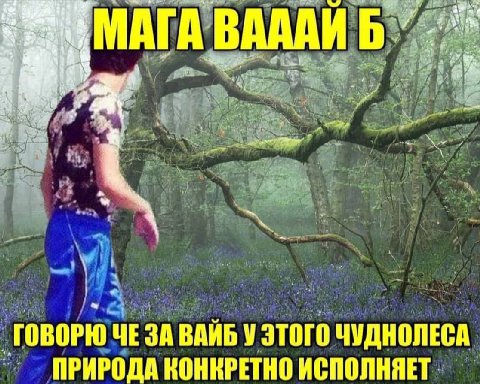 МАГА ВААЛИ ГОВОРЮ ЧЕ ЗА ВАИБ У ЭТОГО ЧУДНОЛЕСА ПРИРОДА КОНКРЕТНО ИСПОЛНЯЕТ