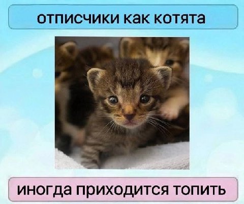отписчики как котята иногда приходится топить