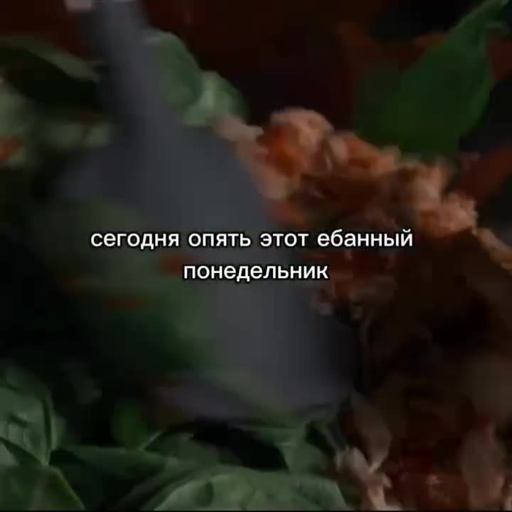 сегодня опять этот ебанный F a понедельник ms
