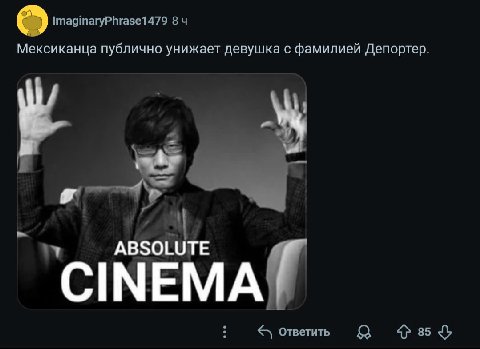 ImaginaryPhrase1479 8 Мексиканца публично унижает девушка с фамилией Депортер. ABSOLUTE CINEMA Ответить $3 $84