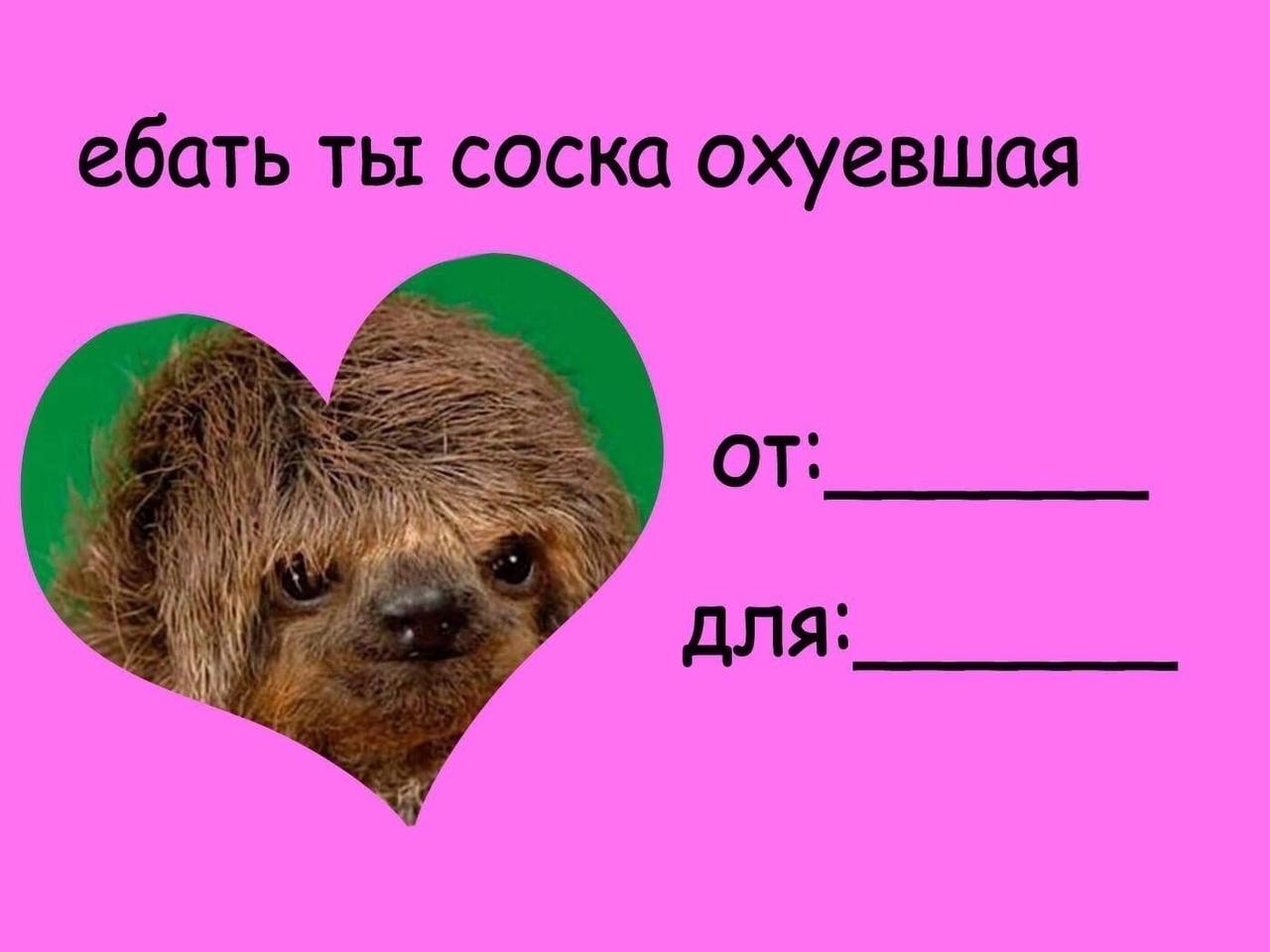 ебать ты соска охуевшая AIA: