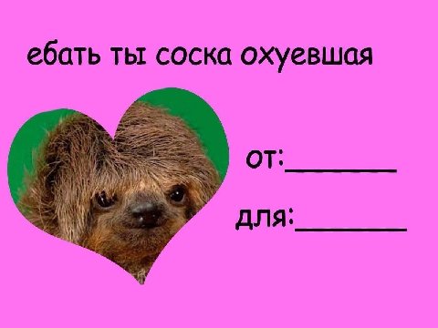 ебать ты соска охуевшая AIA: