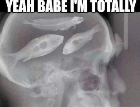 YEAH BABE TOTALLY