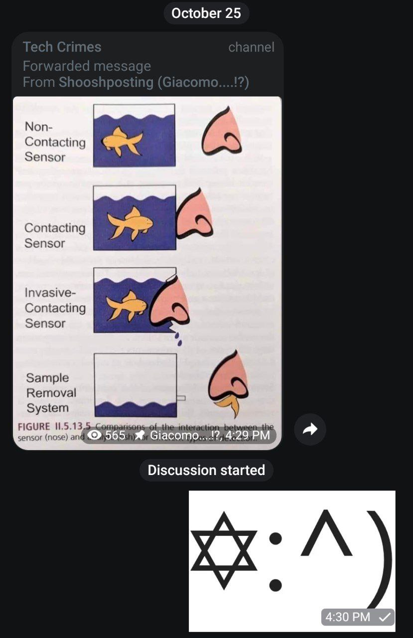Ban speedrun in furry cesspool jew%