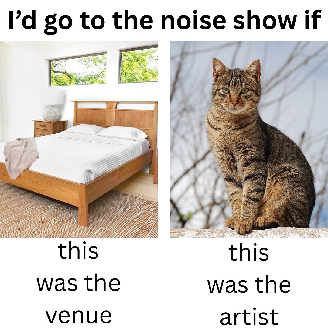 to the noise show if A А this this was the was the venue artist