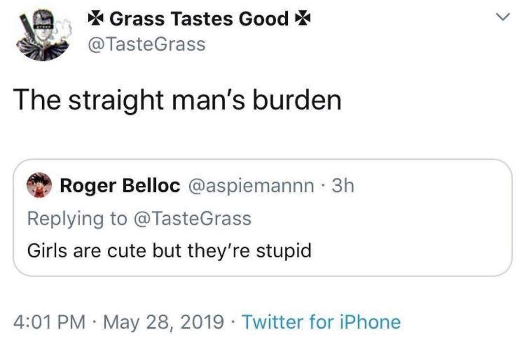 4 Сга$$ Tastes Good @TasteGrass The straight man’s burden Roger Belloc @aspiemannn Replying to @TasteGrass Girls are cute but stupid 4:01 May 28, 2019 Twitter for iPhone