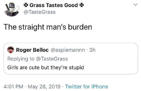 4 Сга$$ Tastes Good @TasteGrass The straight man’s burden Roger Belloc @aspiemannn Replying to @TasteGrass Girls are cute but stupid 4:01 May 28, 2019 Twitter for iPhone