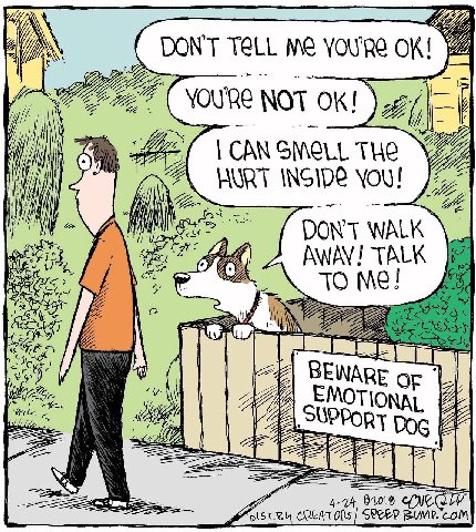 DON'T TELL You’ 2 youre NOT 27 CAN THE INSIDE You! 2 DON’ WALK Salt AWAY! TALK TO Me 2 a 6 OF A MOTIONAL 2 2 DOG 4