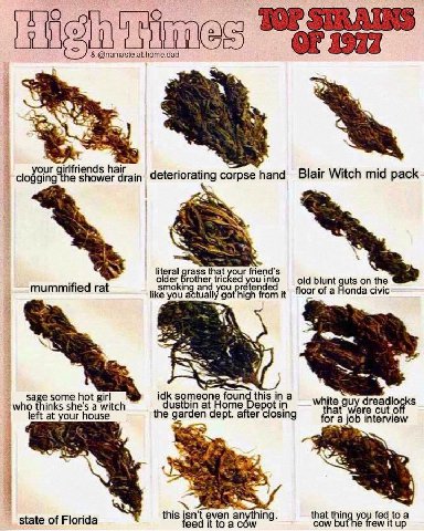 Hig @namaste.at.home.dad our hair ging he shower drai corpse папа Blair Witch mid pack aS literal rass that our friend’s older Brother tricked into old blunt guts on the mummified rat smoking and you 