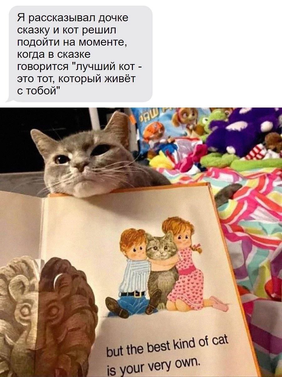 Я рассказывал дочке сказку и кот решил подойти на моменте, когда в сказке говорится "лучший кот это тот, который живёт с тобой" 4 4 4 19 best kind of your very