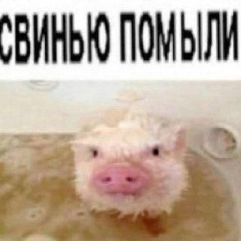 ПОМЫЛИ