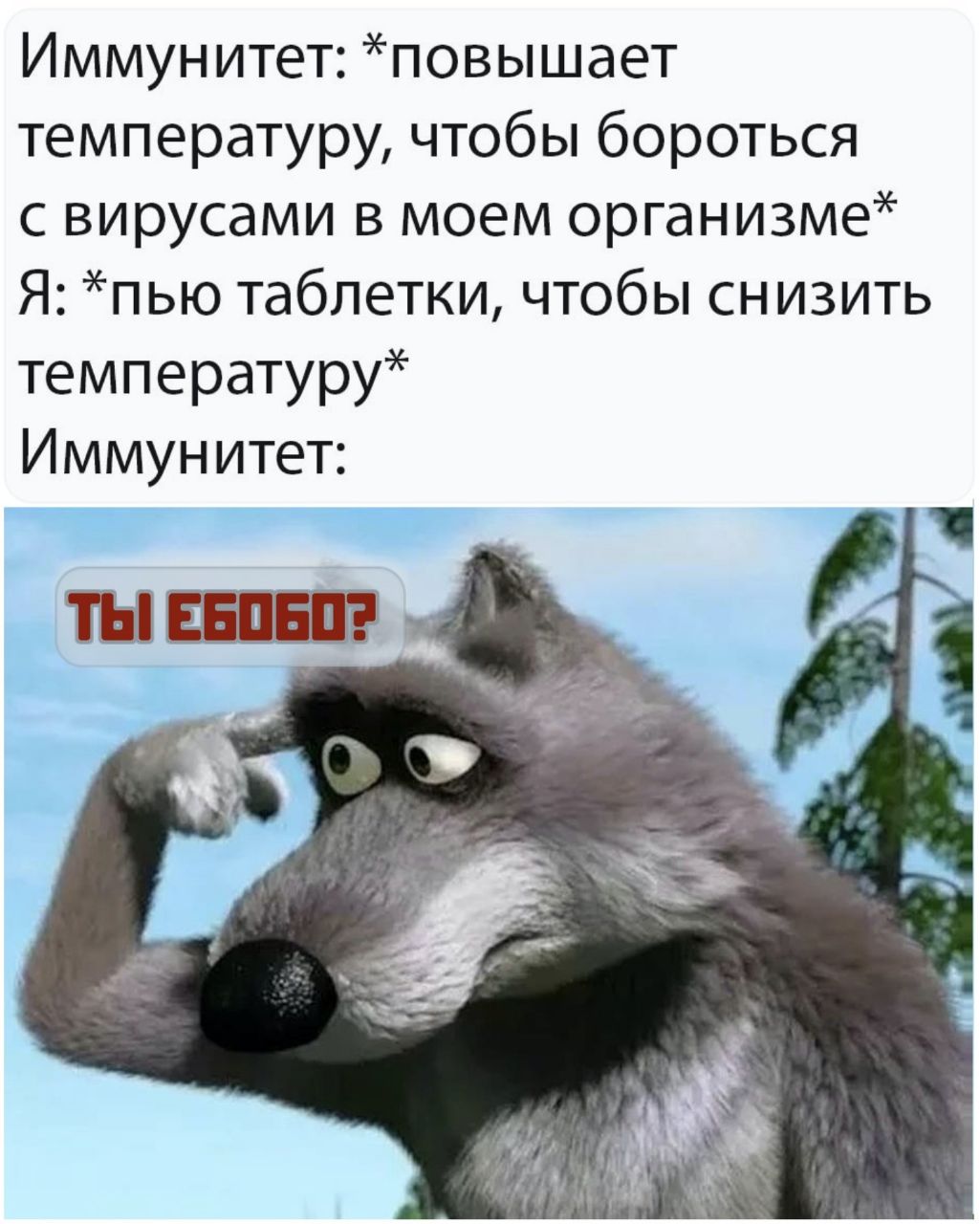 Иммунитет: *повышает температуру, чтобы бороться с вирусами в моем организме* Я: *пью таблетки, чтобы снизить температуру* Иммунитет: ТЫ ЕБОБО?