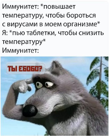 Иммунитет: *повышает температуру, чтобы бороться с вирусами в моем организме* Я: *пью таблетки, чтобы снизить температуру* Иммунитет: ТЫ ЕБОБО?