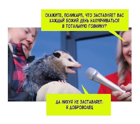 СКАЖИТЕ, ПОЛИКАРП, ЧТО ЗАСТАВЛЯЕТ ВАС КАЖДЫЙ БОЖИЙ ДЕНЬ НАХУЯЧИВАТЬСЯ В ТОТАЛЬНУЮ ГОВНИНУ? ДА НИХУЯ НЕ Я ДОБРОВОЛЕЦ