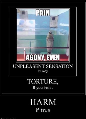 AGONY, EVEN UNPLEASENT SENSATION If may TORTURE, If you insist HARM if true