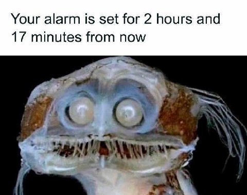 Your alarm is set for 2 hours and 17 minutes from now 1$.