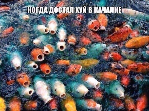 КОГДА ДОСТАЛ ХУИ В 4 A