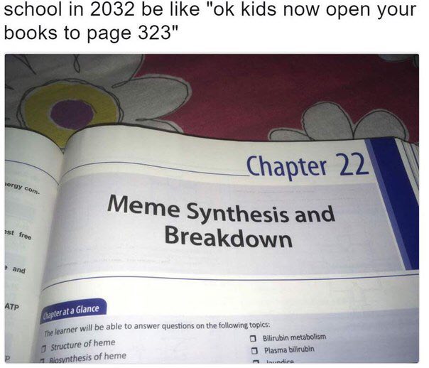 school in 2032 be like kids now open your books to page 323" Meme Synthesis and Breakdown ang АТР Glance will be able to ans wer questions on the following topics: 3 seructure of heme С Bilirubin of h