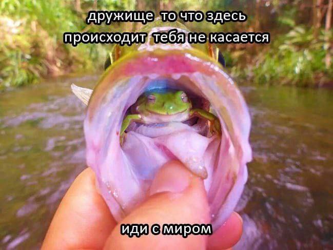 A 4 дружище ‚то что здесь происходит(тебЯдне касается 9 иди иром