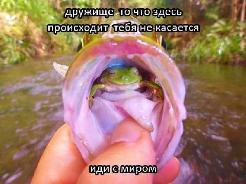 A 4 дружище ‚то что здесь происходит(тебЯдне касается 9 иди иром