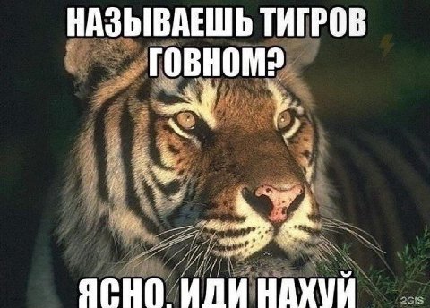 НАЗЫВАЕШЬ ТИГРОВ ЛИ НАХУЙ