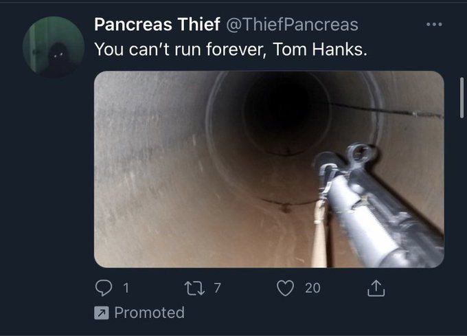 Pancreas Thief @ThiefPancreas You can’t run forever, Tom Hanks. 7 20 Promoted
