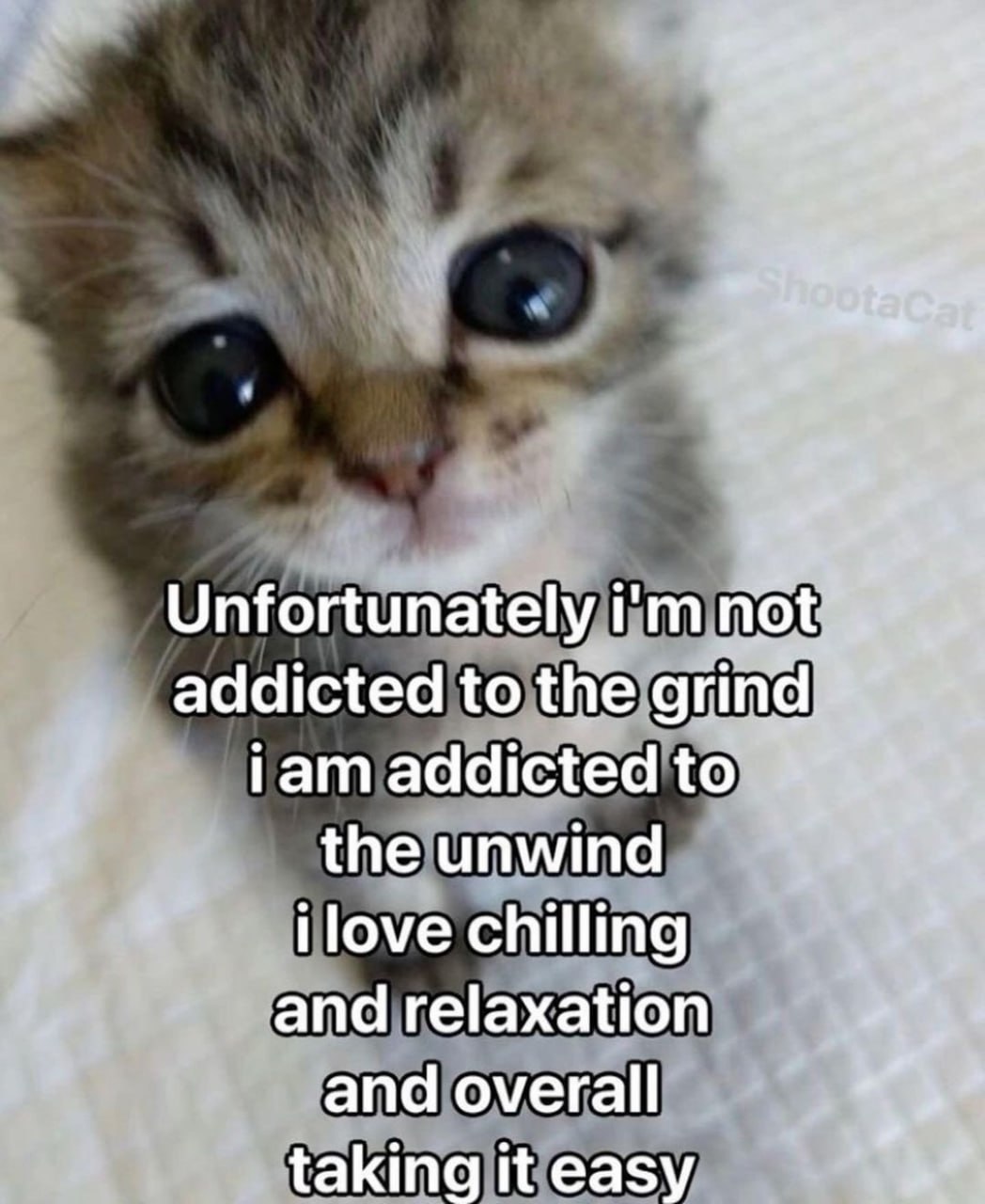 Unfortunately not’, addicted to the grind гат addicted to the unwind поме chilling and relaxation and overall taking it easy
