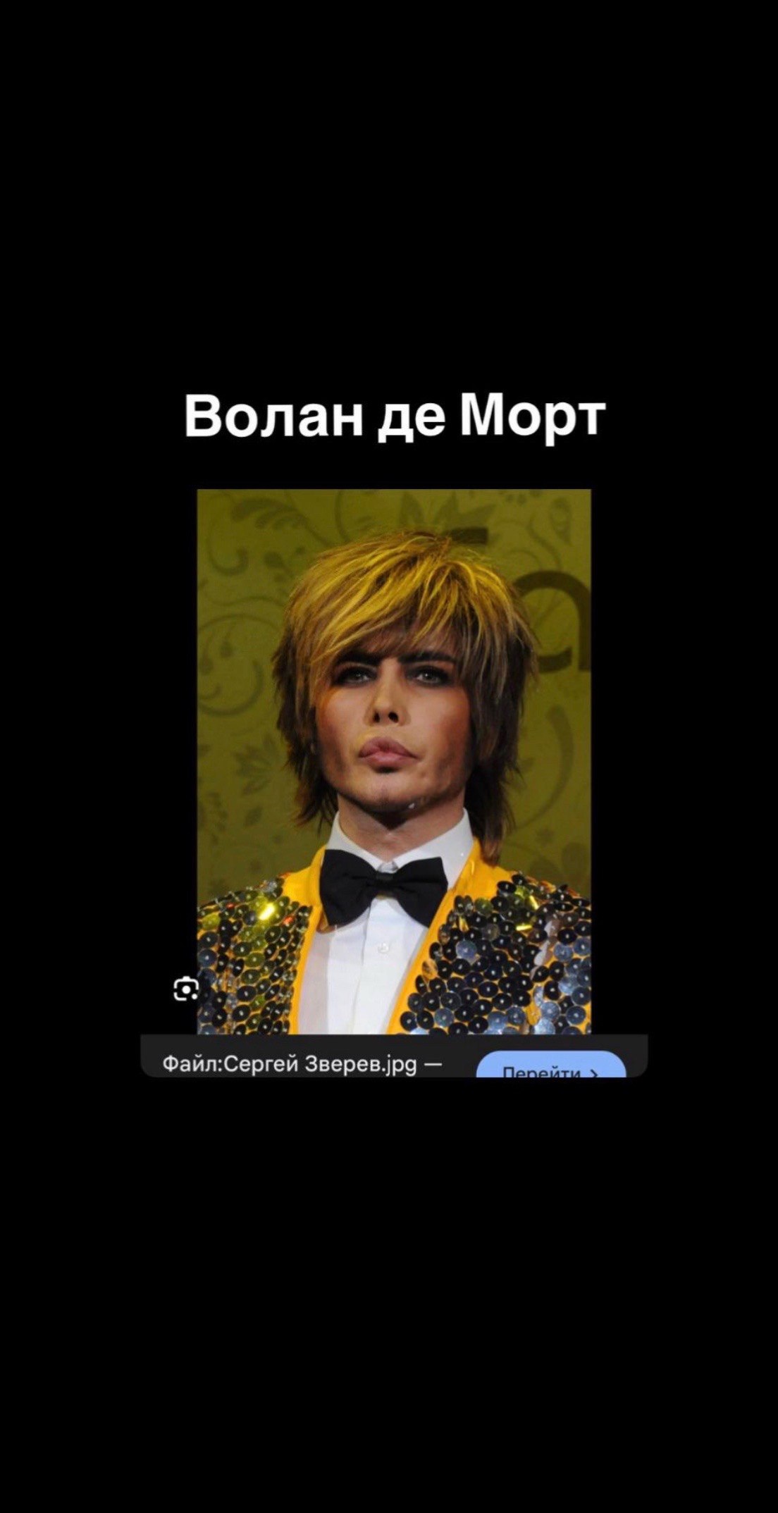 Волан Морт Файл:Сергей Зверев.рд