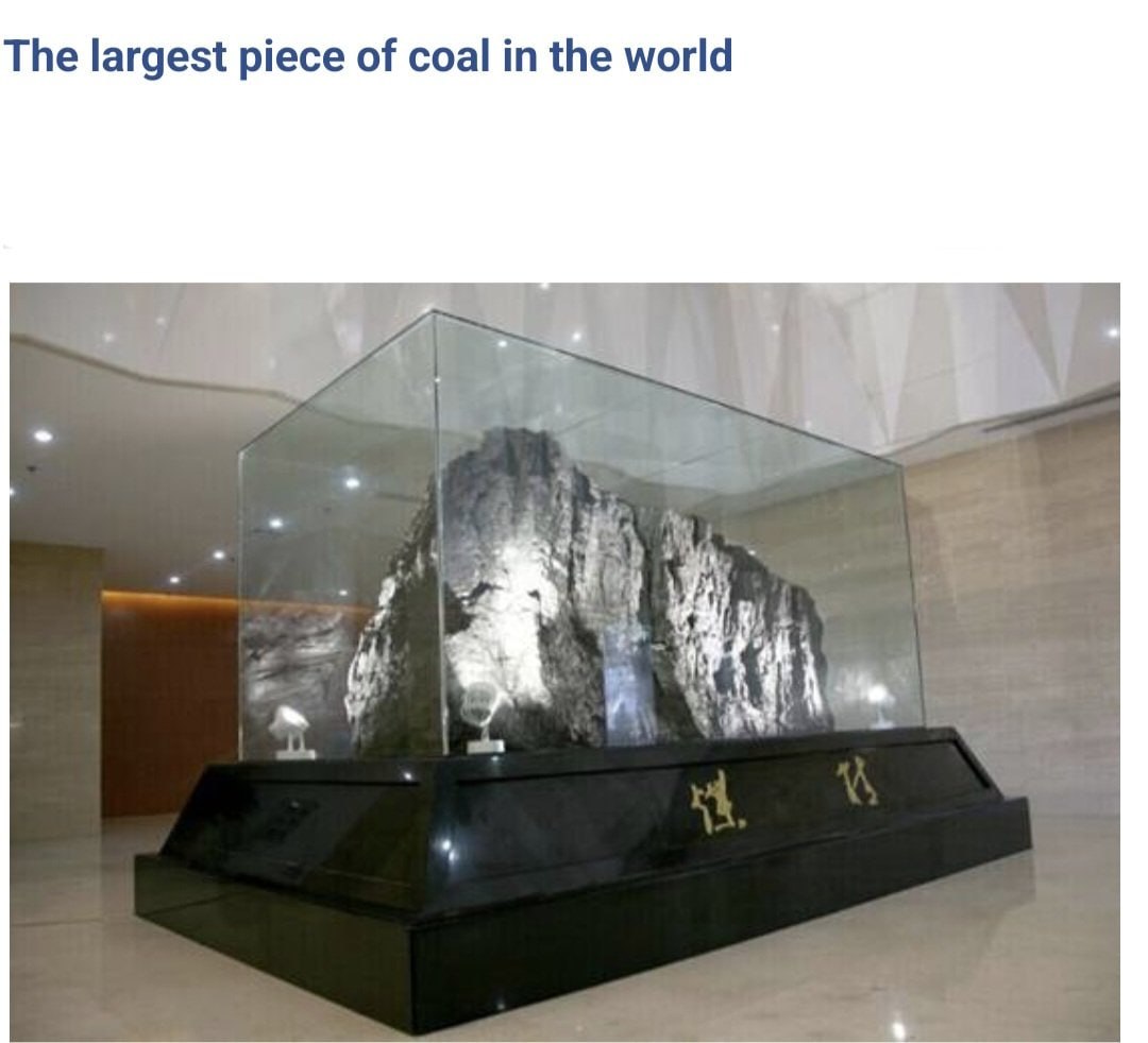 The largest piece of coal the world у