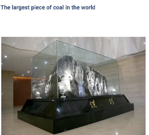 The largest piece of coal the world у